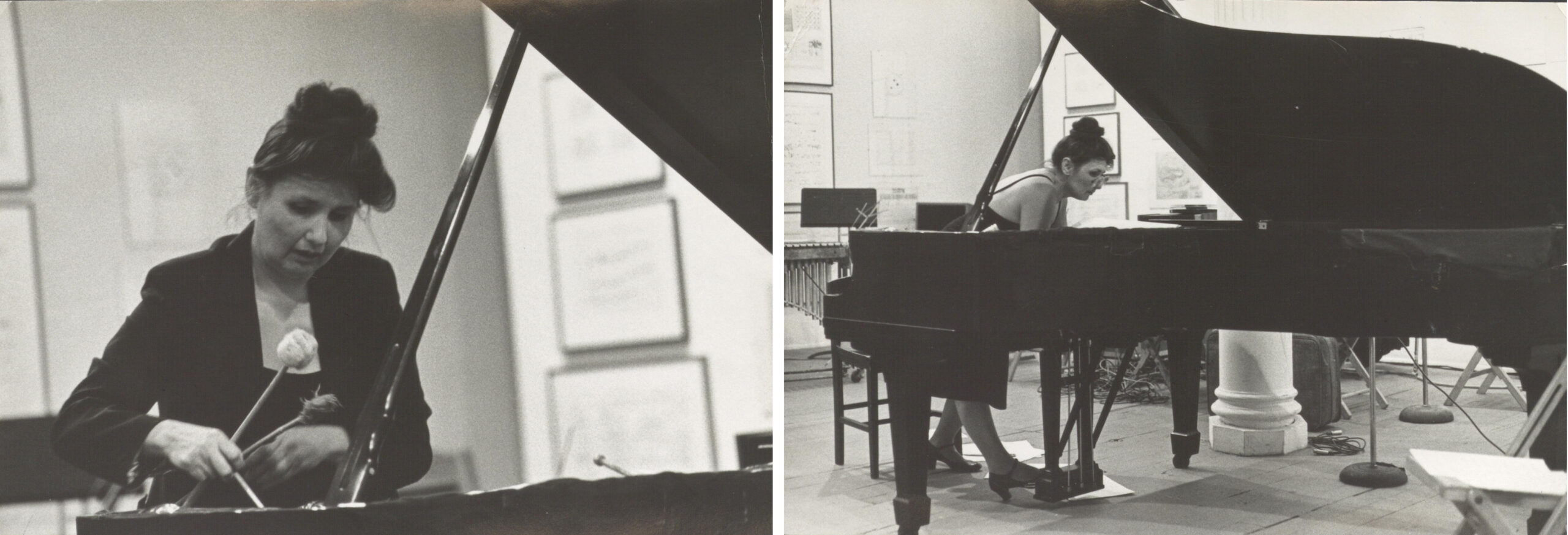 Pierce Sever Performance Drawing Center 1980 Cherry Bowerbird Dlugoszewski