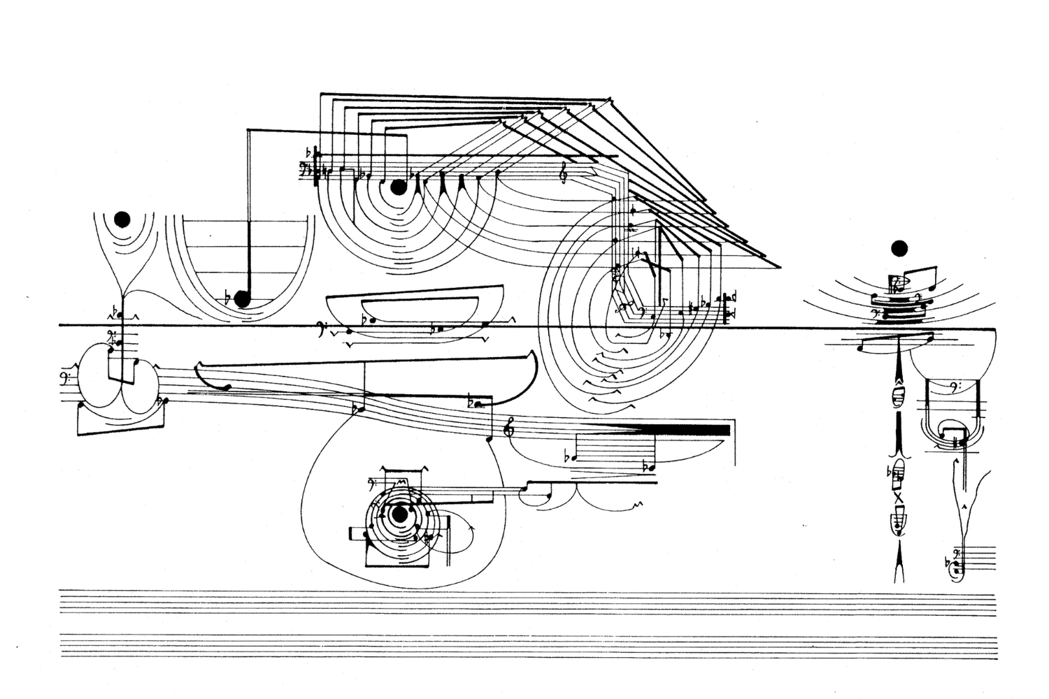 Bowerbird Main Img – 2025-10-29T124822.809