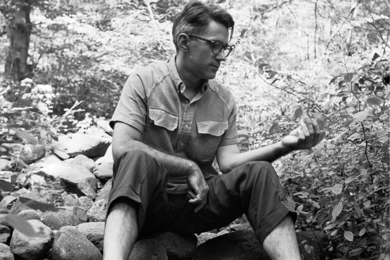 David Tudor at Gate Hill