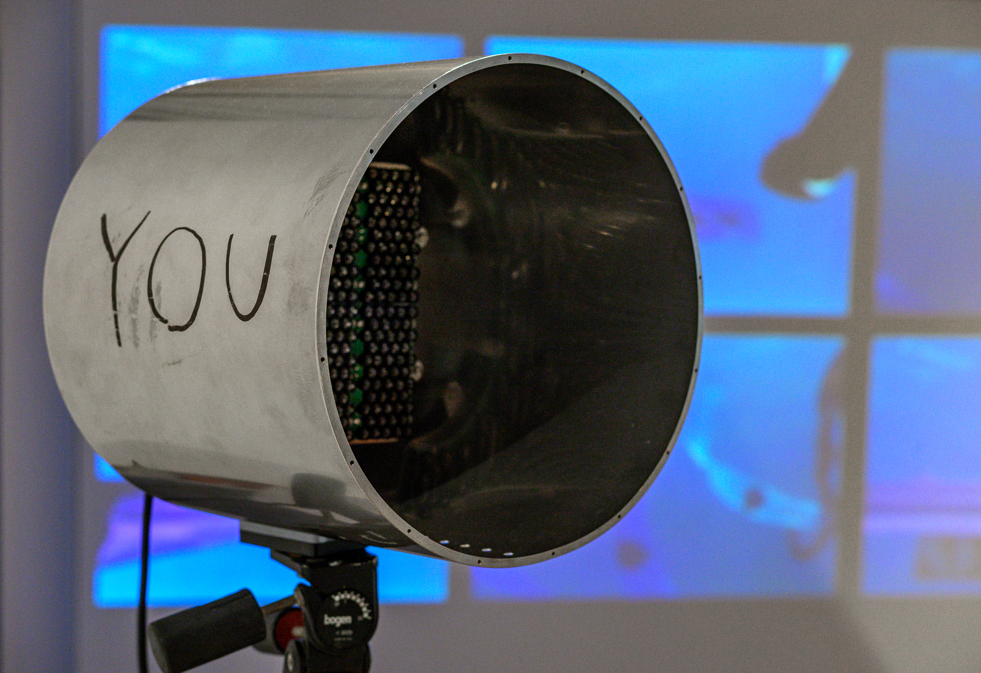 BowerbirdTudorExhibition__ViewInside_ExhibitionViews_14