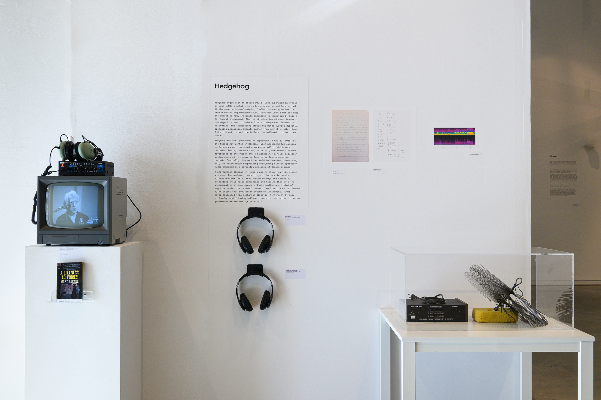 BowerbirdTudorExhibition__ViewInside_ExhibitionViews_21