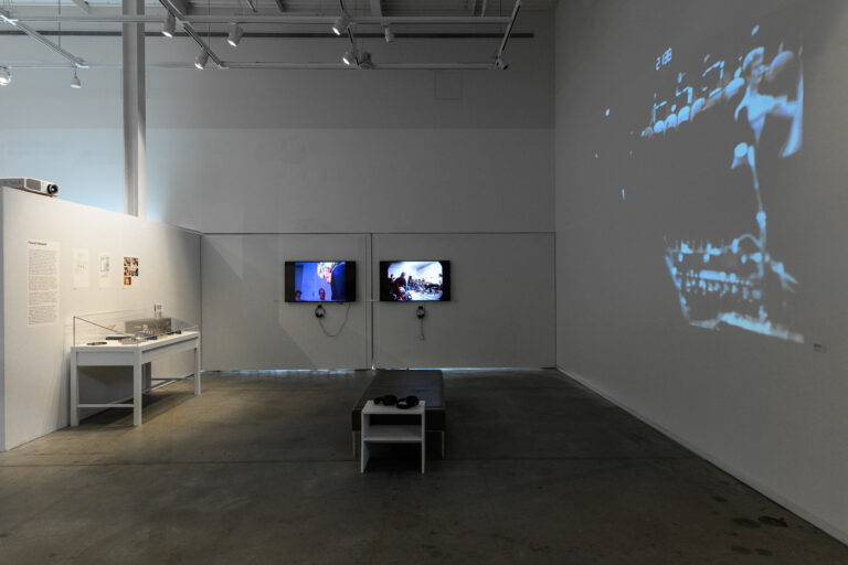 BowerbirdTudorExhibition__ViewInside_ExhibitionViews_22