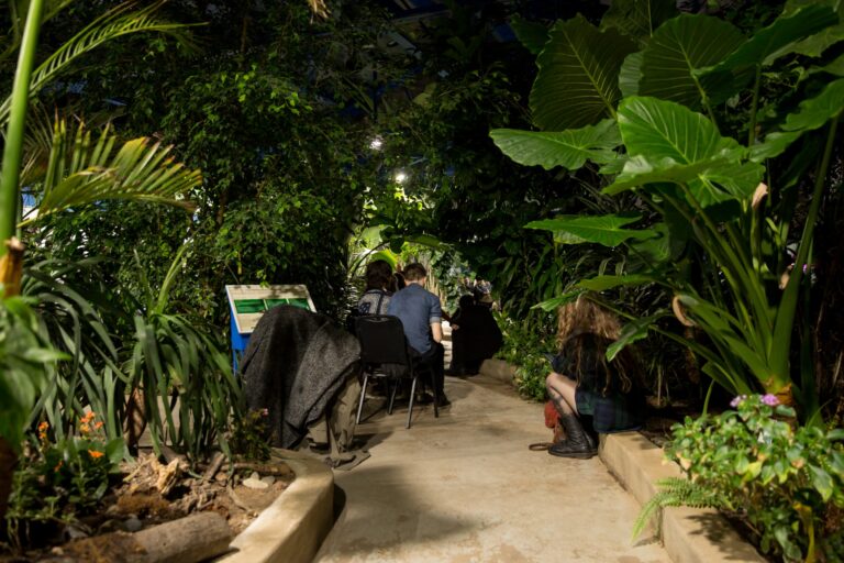 2018-11-30_Visible-Cloaks_Butterfly-Pavilion_photo-07