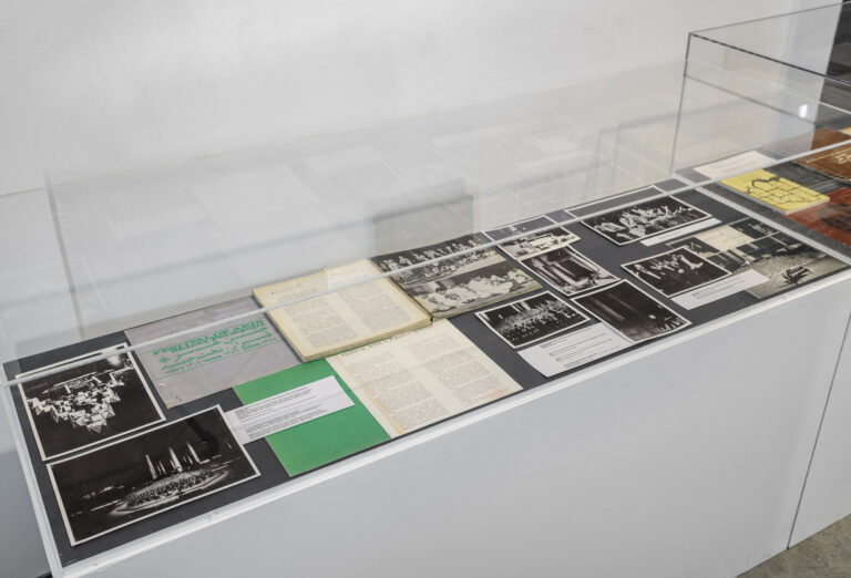 A Utopian Stage at Asian Arts Initiative, installation view 28