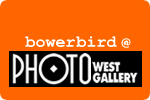 bowerbird-venue-icon_photowest